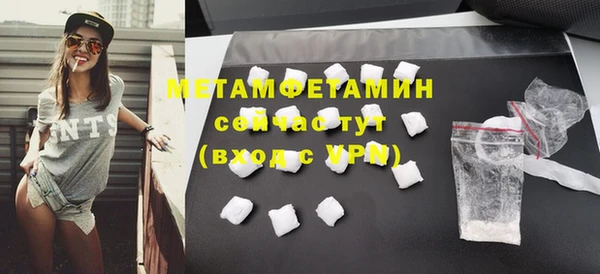 индика Волоколамск