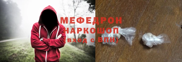 индика Волоколамск