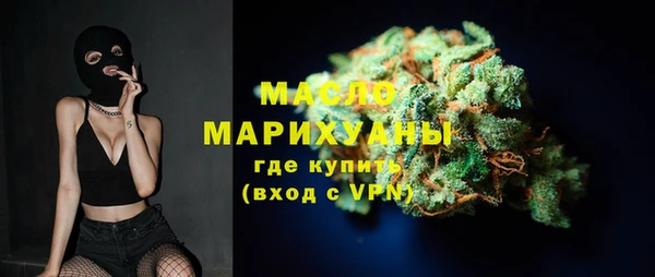 индика Волоколамск