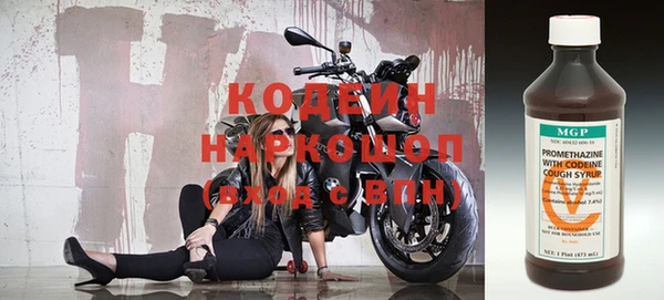 индика Волоколамск