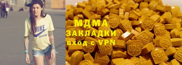 индика Волоколамск