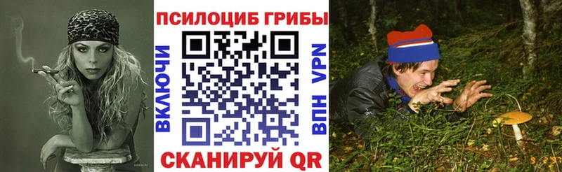Галлюциногенные грибы Psilocybe  дарнет шоп  Чишмы 